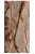 Płytka Marmurowa Rain Forest Brown Szczotkowany | 61x30,5x1,2 cm