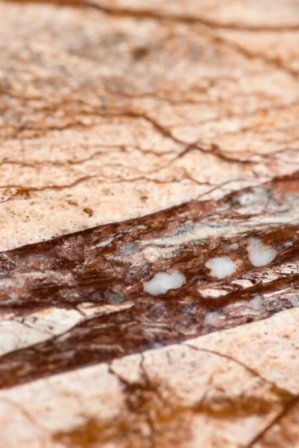 Płytka Marmurowa Rain Forest Brown Szczotkowany | 61x30,5x1,2 cm