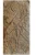 Płytka Marmurowa Rain Forest Brown Polerowany | 61x30,5x1,2 cm