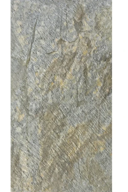 Płytka Kwarcytowa Deoli Green Naturalny | 60x30x0,9-1,2 cm