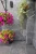 Płytka Kwarcytowa Silver Grey Naturalny | 60x30x0,9-1,2 cm