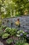 Panel Kamienny Mix Silver Shine &amp; Black Slate (z) Naturalny | 60x15x1-2 cm