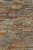 Kamień Elewacyjny Dekoracyjny Łupek Stackstone Multicolor Naturalny 10x36x0,8-1,3 cm